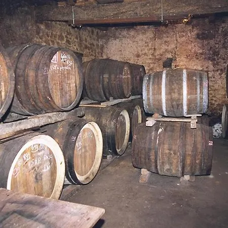 Lägenhet Superbe Loft, Degustations Vignoble Familial