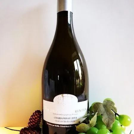 Superbe Loft, Degustations Vignoble Familial Lägenhet *