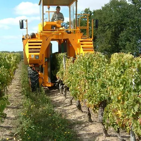 Superbe Loft, Degustations Vignoble Familial Lejlighed *
