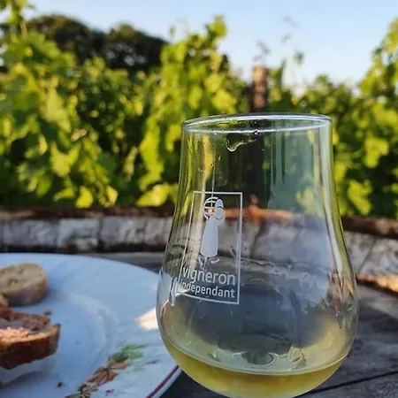 Superbe Loft, Degustations Vignoble Familial Lejlighed Villars-en-Pons